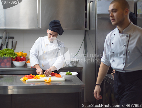 Image of Chef cutting fresh and delicious vegetables