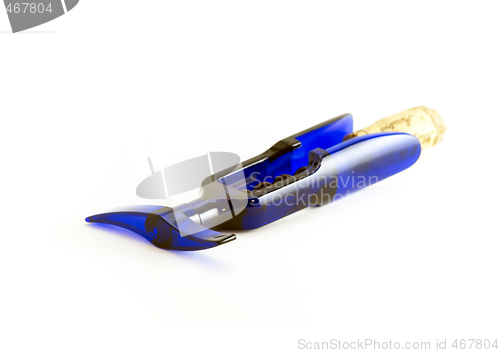 Image of Blue Corkscrew