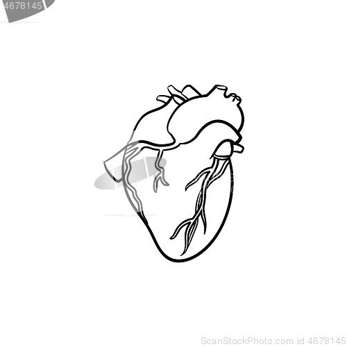 Image of A heart hand drawn outline doodle icon.