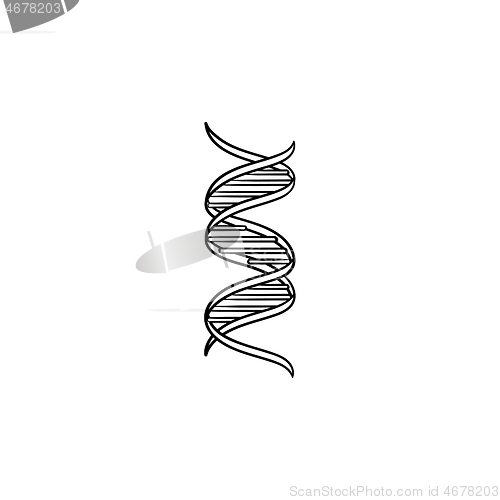 Image of DNA genetic chain hand drawn outline doodle icon.