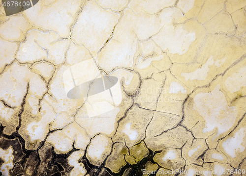 Image of Cracks on a moldy wall