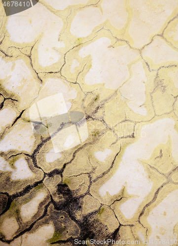 Image of Cracks on a moldy wall