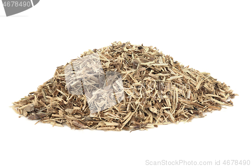 Image of Nettle Root Herb Herbal Medicine