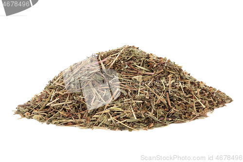 Image of Speedwell Herb Herbal Medicine