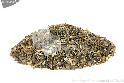 Image of  Southernwood Herb Herbal Medicine 