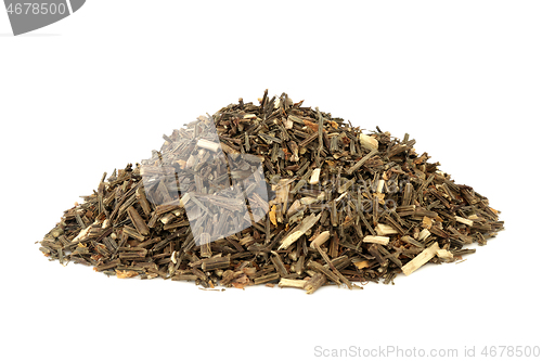 Image of Broom Herb Herbal Medicine 