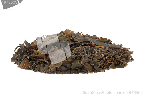 Image of Bladderwrack Herb Herbal Medicine