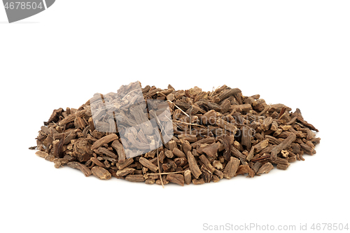 Image of Valerian Herb Root Herbal Medicine