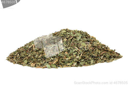 Image of Bogbean Herb Herbal Medicine