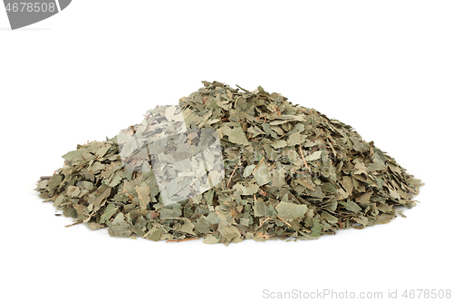 Image of Birch Leaves Herb Herbal Medicine