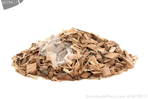 Image of Poplar Bark Herb Herbal Medicine