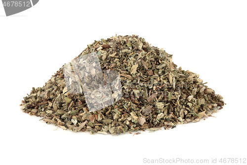 Image of Mousear Herb