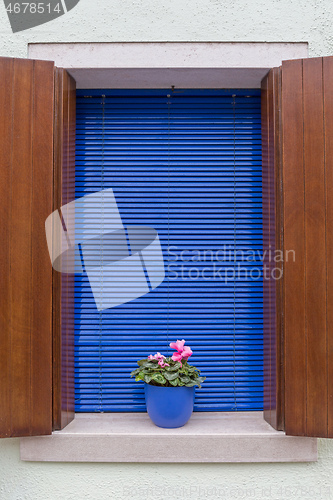 Image of Window Flower Pot