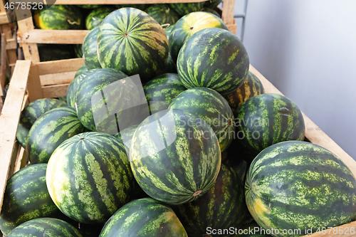 Image of Watermelons in Crates