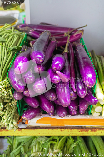 Image of Purple Eggplants