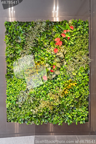 Image of Wall Garden