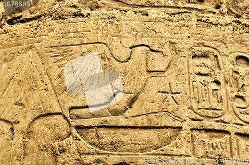 Image of Ancient egyptian hieroglyphs in the Karnak Temple in Luxor
