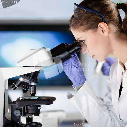 Image of Life scientist researching in the laboratory.