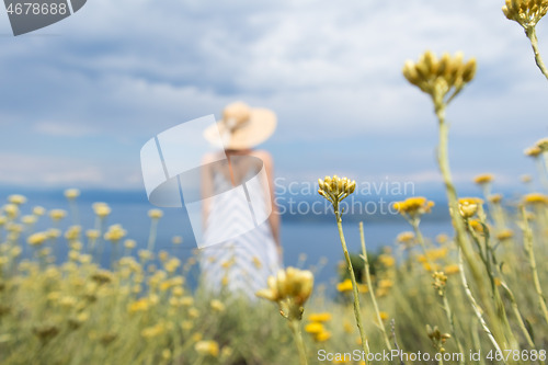 Image of Rear view of young woman wearing striped summer dress and straw hat standing in super bloom of wildflowers, relaxing while enjoing beautiful view of Adriatic sea nature, Croatia