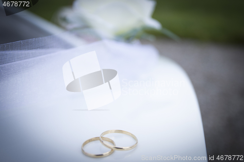 Image of Wedding Rings