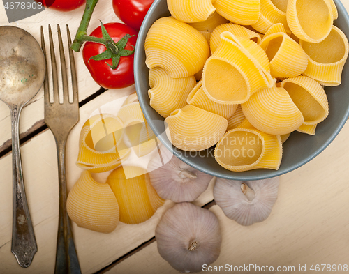 Image of Italian snail lumaconi pasta with tomatoes