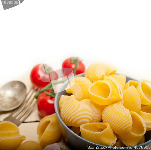 Image of Italian snail lumaconi pasta with tomatoes