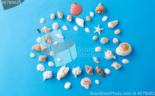 Image of frame of different sea shells on blue background