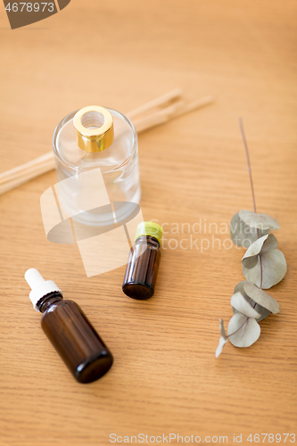 Image of aroma reed diffuser, essential oil and eucalyptus