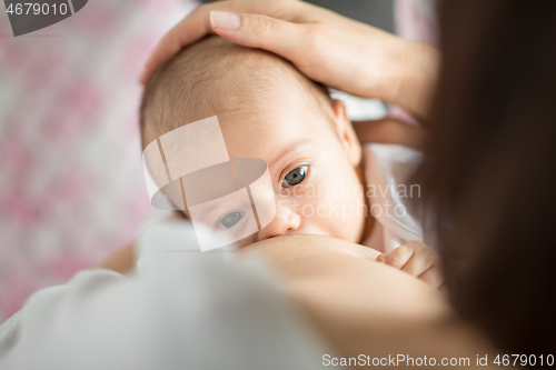 Image of close up of mother breastfeeding newborn baby