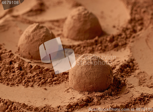 Image of chocolate truffles on cocoa powder background