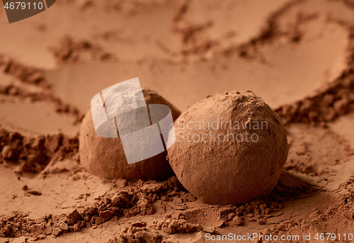 Image of chocolate truffles on cocoa powder background