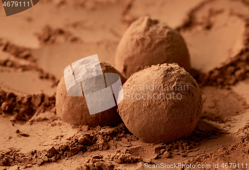 Image of chocolate truffles on cocoa powder background