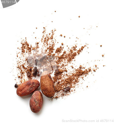 Image of cocoa beans and powder isolated on white background