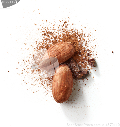 Image of cocoa beans and powder isolated on white background