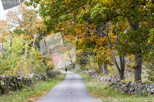 Image of Country road in fall colors