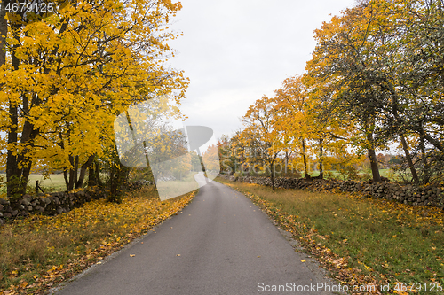 Image of Colorful less travelled road in fall season