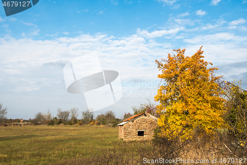 Image of Fall season with a glowing tree