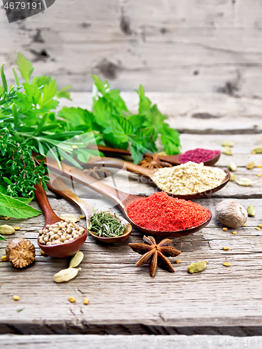 Image of Spices in spoons on old board