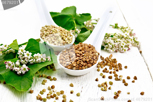 Image of Buckwheat brown and green in spoons on light board