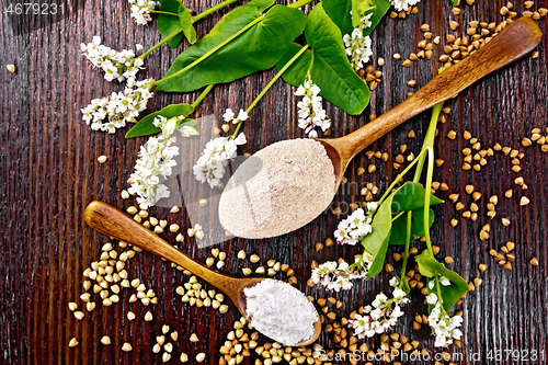 Image of Flour buckwheat brown and green in spoons on wooden board top