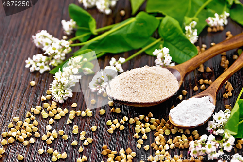 Image of Flour buckwheat brown and green in spoons on board