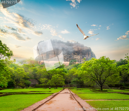 Image of Garden near Sigiriya