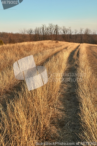 Image of Countriside dirt road landscape, pale autumn