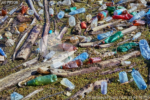 Image of Plastic bottles in water