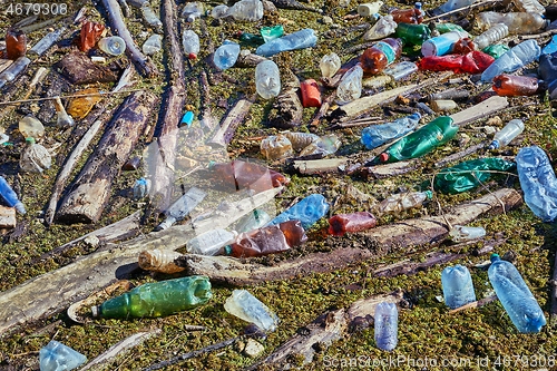 Image of Plastic bottles in water