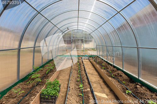 Image of Vegetables in greenhouse drip irrigation