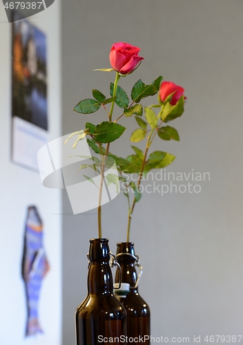 Image of rose in a dark glass bottle 