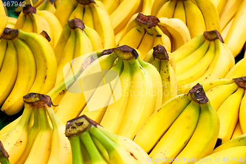 Image of Bananas