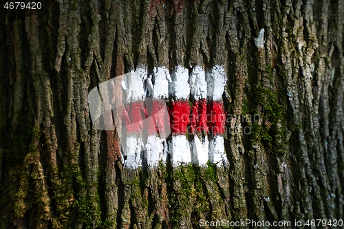 Image of Hiking trail signs