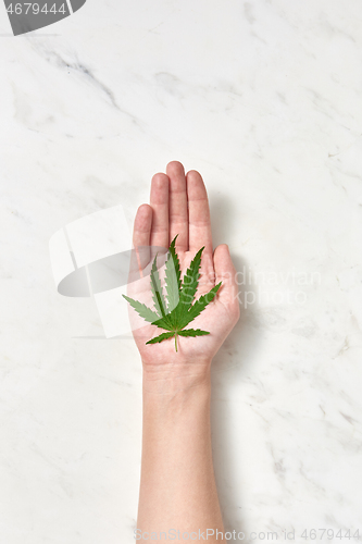 Image of Woman\'s hand with a green fresh marijuana leaf on a marble gray background.